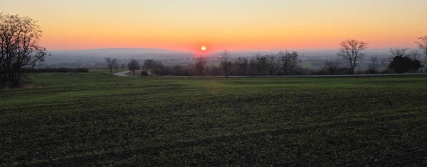 Walking Austerlitz Walking Austerlitz