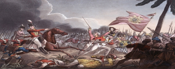 Wellington in India