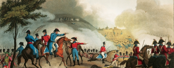 Wellington in Spain