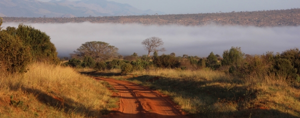 Bespoke World War 1 Battlefield Tour and Safari in Kenya
