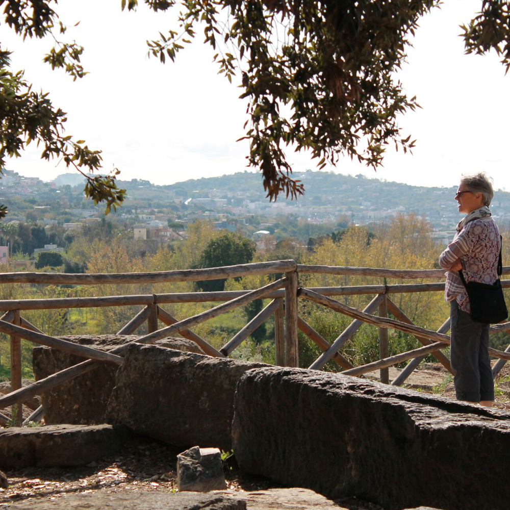 Pompeii And Herculaneum | Archaeological Tour In The Bay Naples