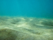 Worlds Oldest Shipwreck found off the Southern Coast of Turkey