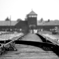 Holocaust: Poland & The Nazi Death Camps - April 2019 Tour Images - click here to read more