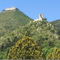 Anzio & Cassino 1944: Breaching the Gustav Line - 2019 Tour Images - click here to read more