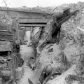 1917 Centenary Tour Report & Gallery - April 2017 - click here to read more