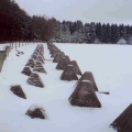The Battle of the Bulge Tour Images - December 2018 - click here to read more