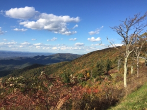 Skyline Drive