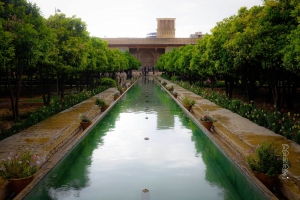 The Iran Experience