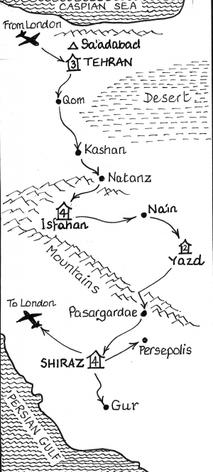 The Iran Experience