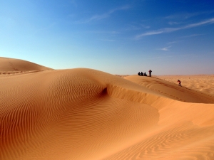 The Oman Experience
