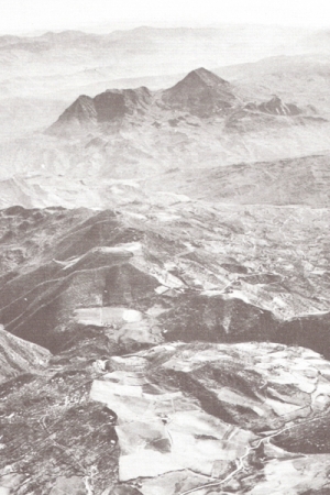 Monte Vigese, Gothic Line