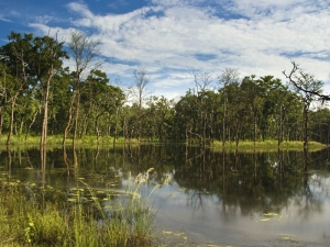 Chitwan National Park