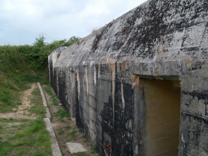 Maisy Battery