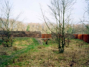 Varus Battlefield
