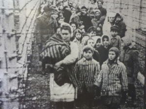 Auschwitz Liberation