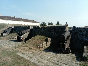 Cannon at Almeida