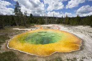 Morning Glory Pool