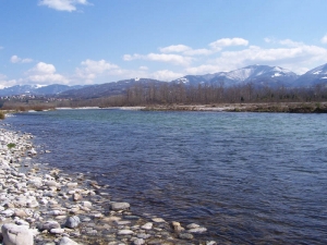River Piave