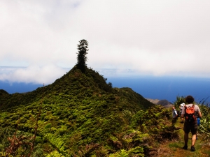 Walk to Diana's Peak 