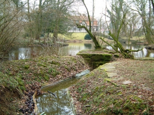 Craters from German mines at Hooge which wiped out a company