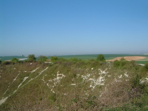 Part of the vast Lochnagar mine crater on the Somme