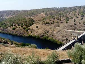 View of Alcantara bridge