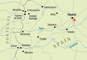 Wellington in Spain