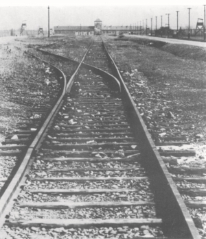 Birkenau