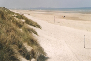 Dunes and beach