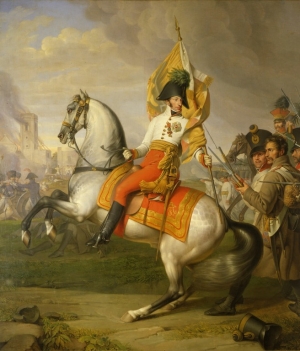 Napoleon on the Danube