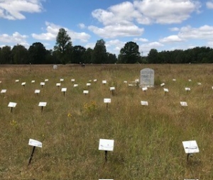 Polands Forgotten Holocaust Sites