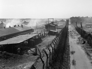 The liberation pf Bergen-Belsen