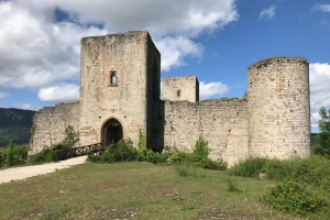 The Albigensian Crusade