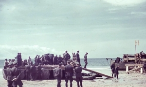 Operation Sea Lion