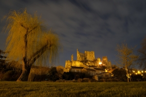 Plantagenet France: Intrigue, War, Collapse