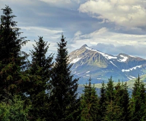 Shells Exploding at a Picnic - click to enlarge Shells Exploding at a Picnic