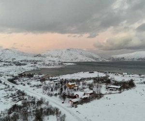 Shells Exploding at a Picnic - click to enlarge Shells Exploding at a Picnic